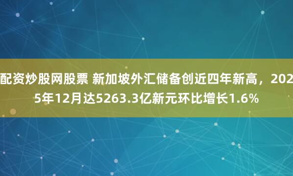 配资炒股网股票 新加坡外汇储备创近四年新高，2025年12月达5263.3亿新元环比增长1.6%