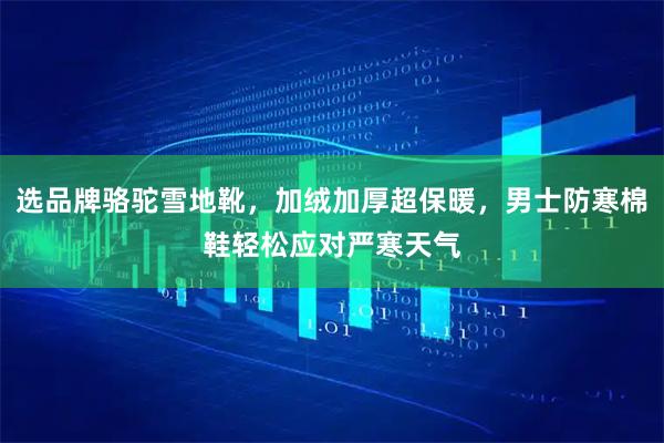 选品牌骆驼雪地靴，加绒加厚超保暖，男士防寒棉鞋轻松应对严寒天气